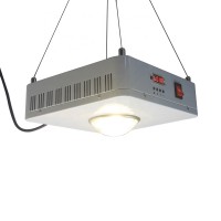 2019 New Products Grow Smart Control 100W COB CXB3590 Led Grow Light 3500K For Greenhouse Hydroponics